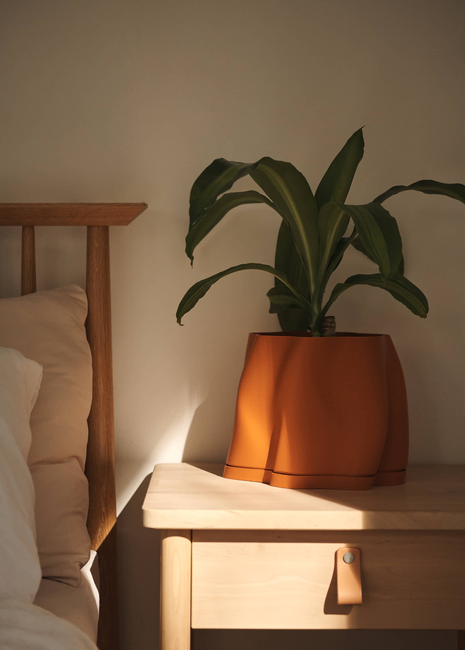 Planters