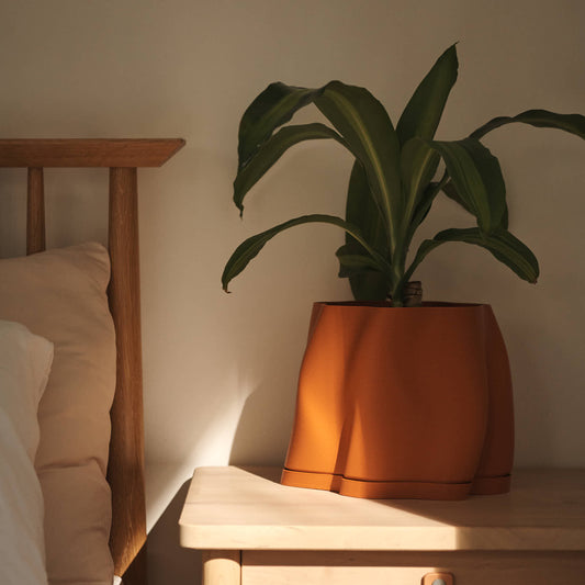 Lulu Planter