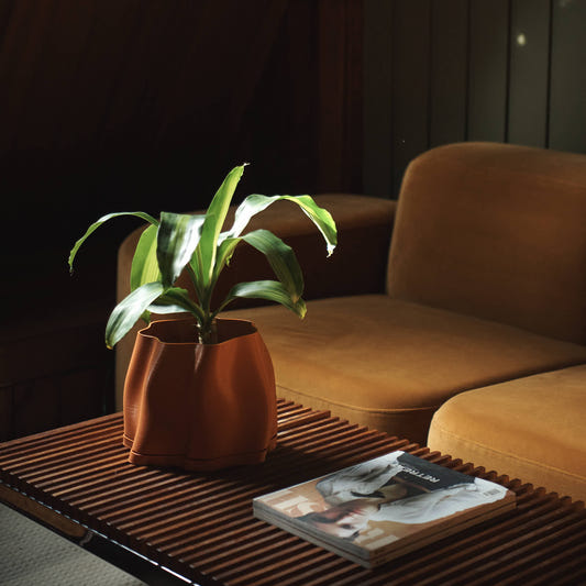 Lulu Planter
