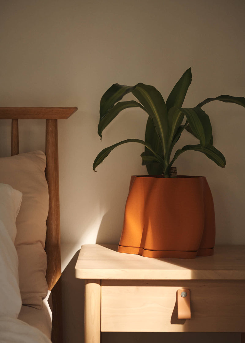 Planters
